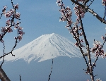 Il Fuji a primavera