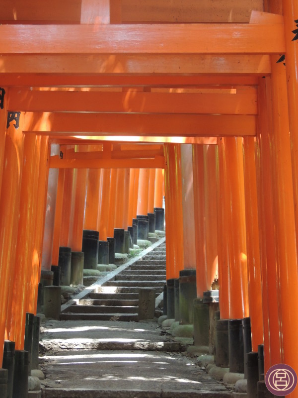 I torii rossi di Fushimi Inari. Agosto 2013.