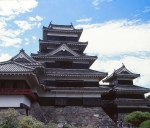 matsumoto-shiro
