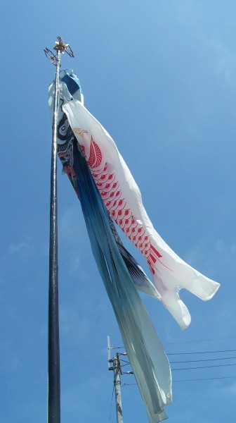 Koinobori a Shikoku, primavera 2009