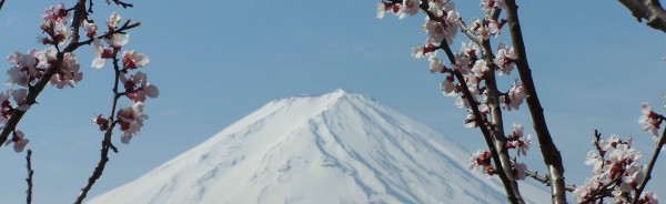 cima del fuji 1