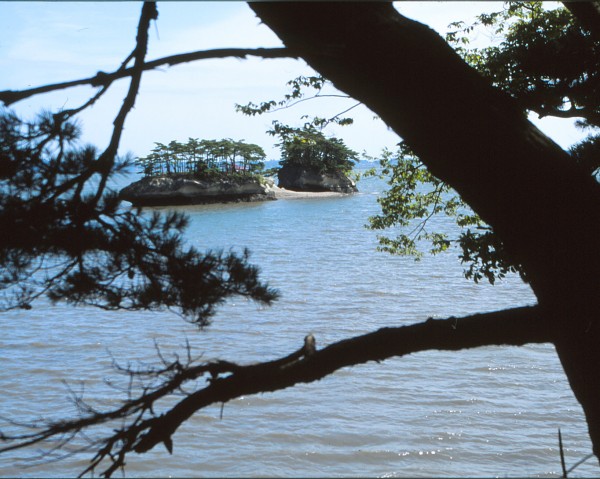 Sul mare davanti a Sendai: Matsushima. Agosto 2001.