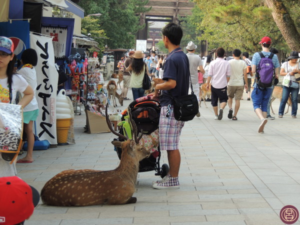 Nel pomeriggio di Obon, verso il Todaiji. Nara, agosto 2013.