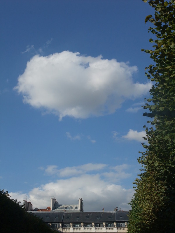 Ieri, al Palais Royal. Parigi, 30 agosto 2015.