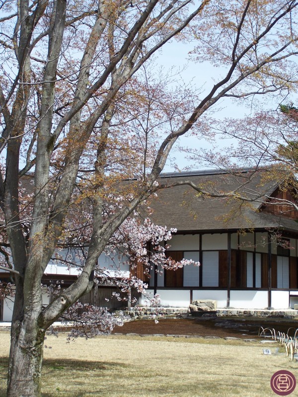 Katsura Rikyū in una dolce primavera. Kyōto, 1° aprile 2013.